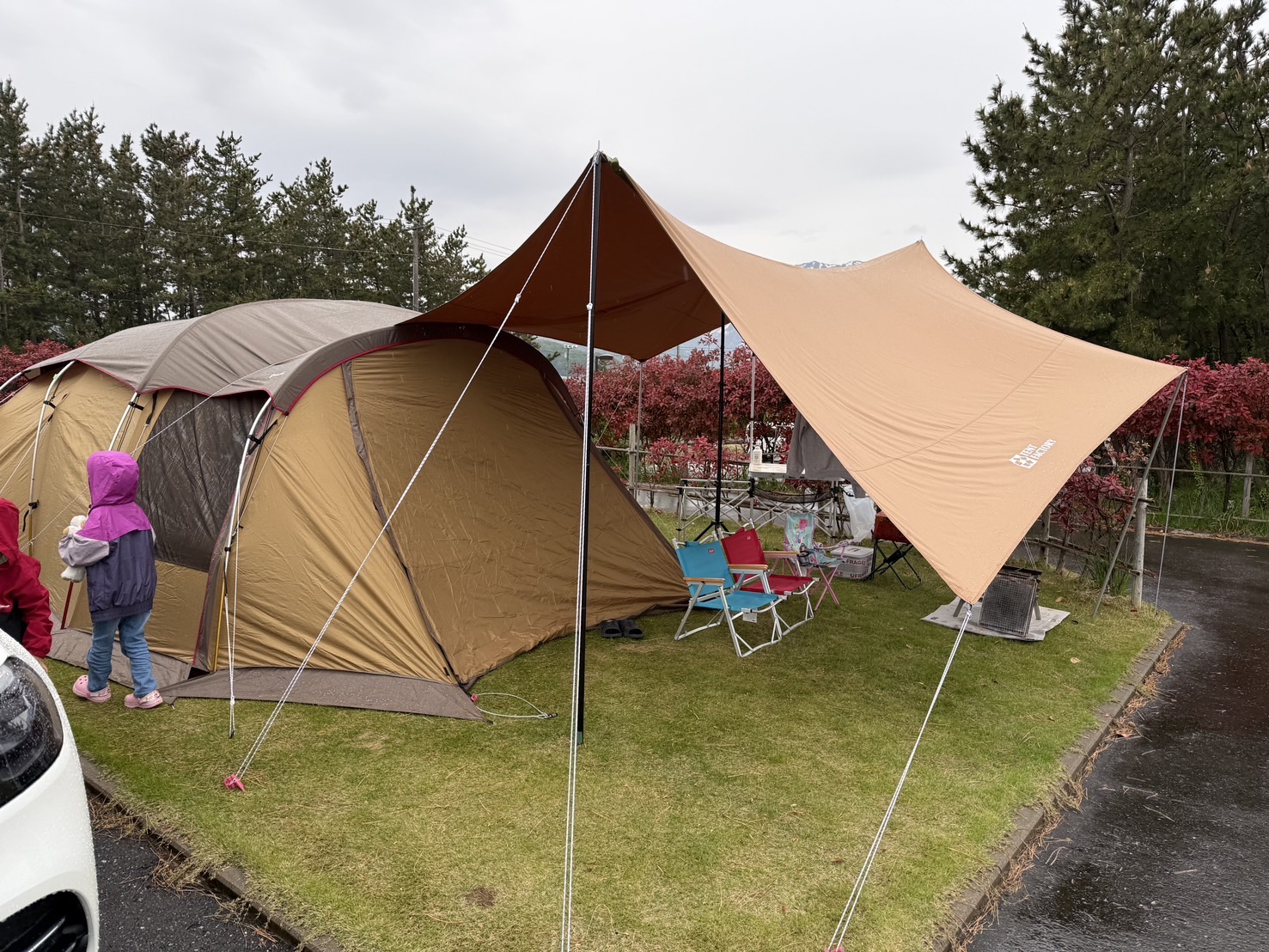 キャンプに行ってきました🏕️